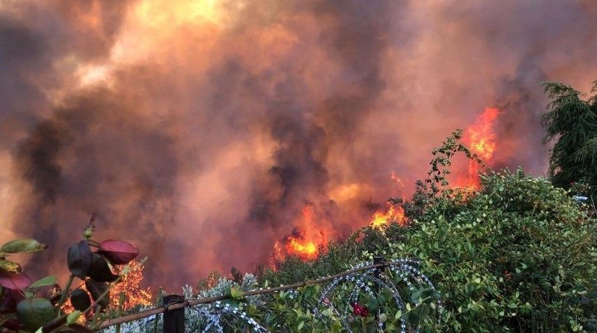 Başsavcılık Orman Yangını İle İlgili Soruşturma Başlattı