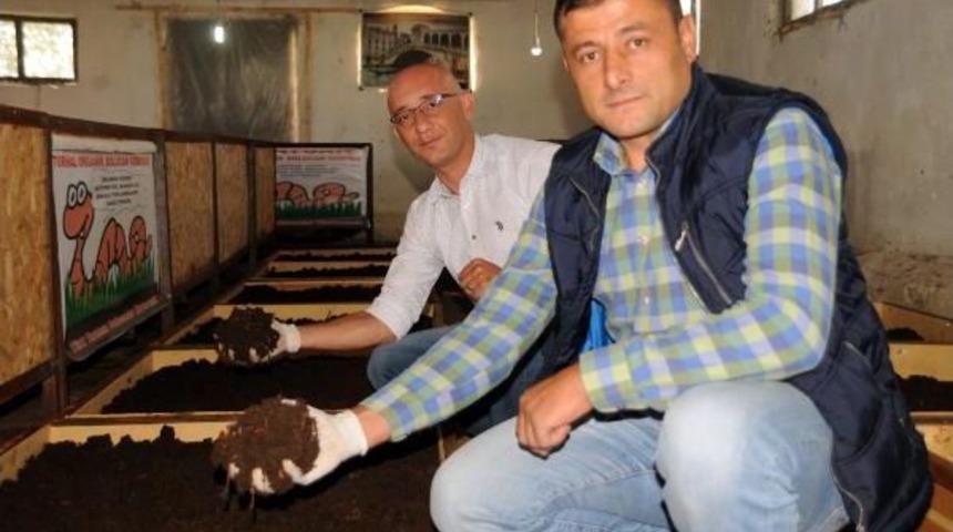 Solucan Satışından 1 Yılda 1 Milyon Lira Kazandılar