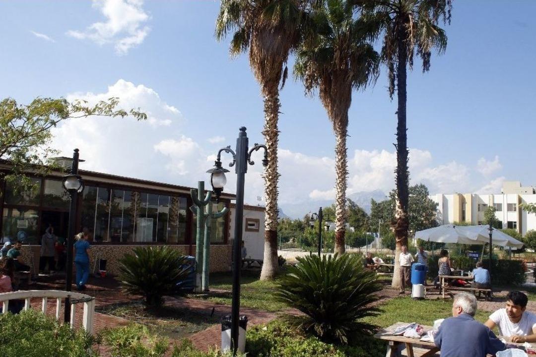 Hastane Bah&ccedil;esine Yıldırım D&uuml;şt&uuml;, Palmiye Ağacı Alev Aldı