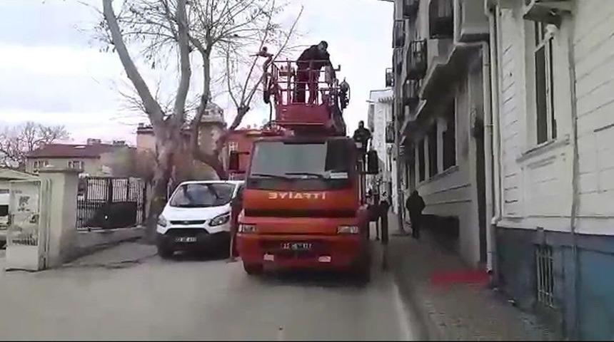 Ağa&ccedil;ta Takılı Kalan Kuş Kurtarıldı