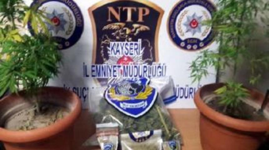 Uyuşturucu Satıcısı Yakalandı