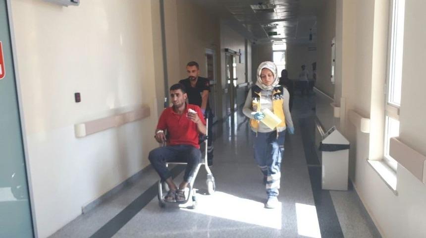 Ağacı Keserken Elini Kesti