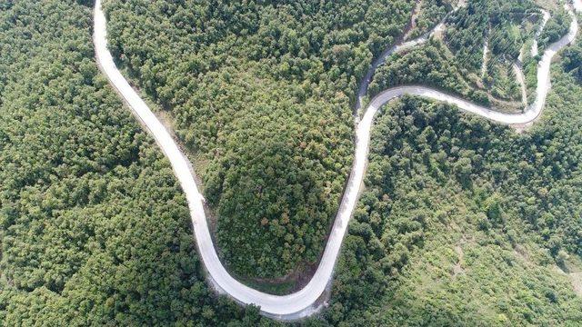 Gölcük’te Yazlık Ve Panayır Yolu Yenilendi