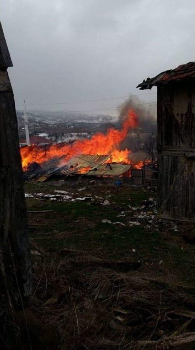 Yangında Ahır Ve Samanlık Kül Oldu