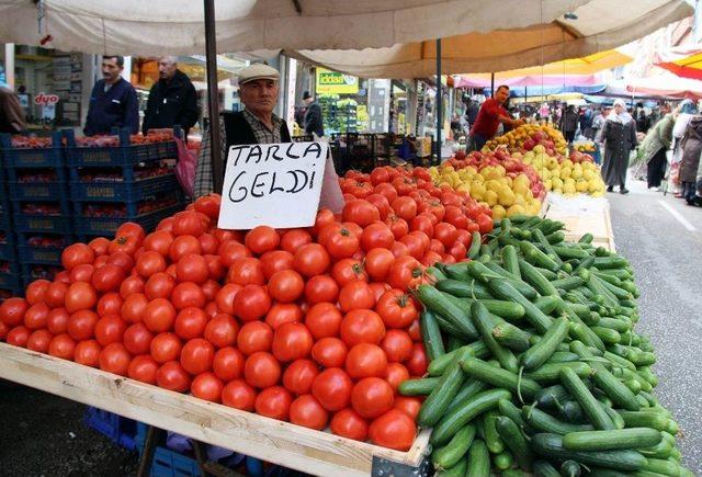 Samsun Bazı Tarım Ürünlerinde Türkiye 1’incisi