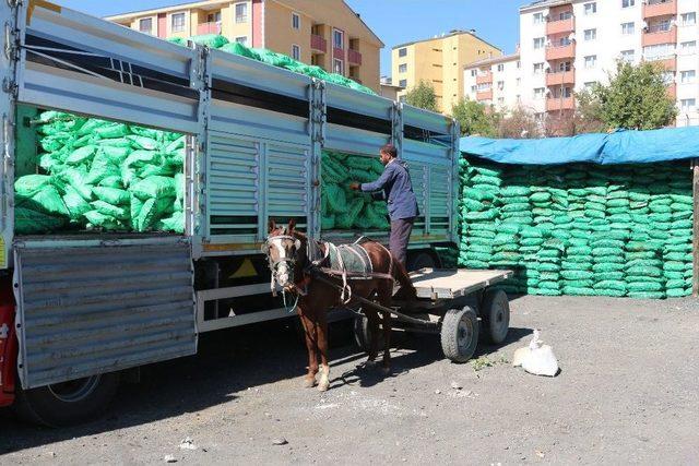 Ağrı’da Kömür Hareketliliği Yaşanıyor