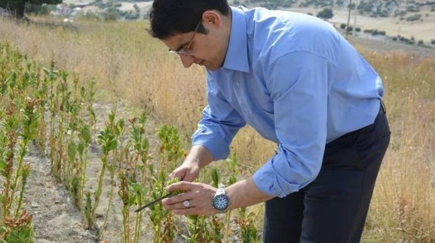 Kaymakam &Ouml;nce T&uuml;t&uuml;n Kırdı Ardından İğneye Dizdi