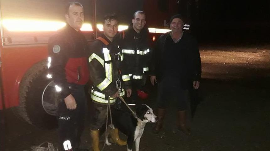 İtfaiyeden Gece Yarısı K&ouml;pek Kurtarma Operasyonu