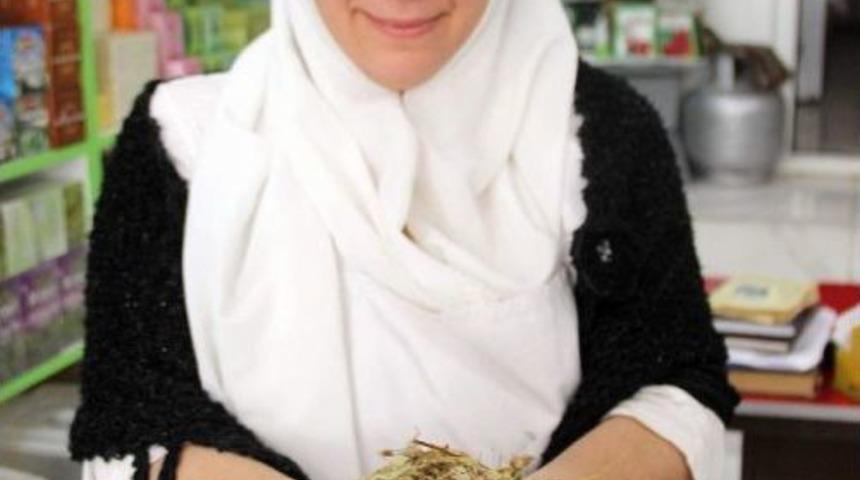 Ihlamur Fiyatları Altınla Yarışıyor