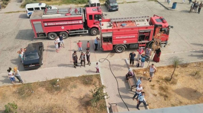 Milas Toki&rsquo;de Yangın Paniği