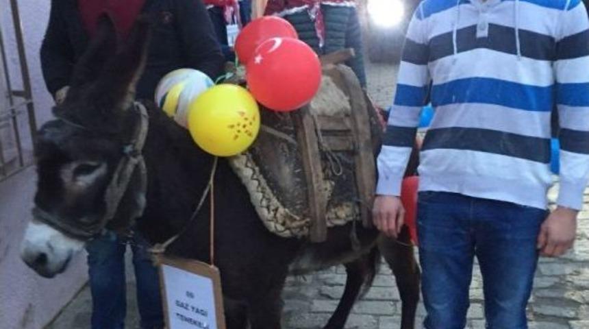 Kınalı Kuzuların Geleneksel Eğlencesi G&uuml;l&uuml;msetti