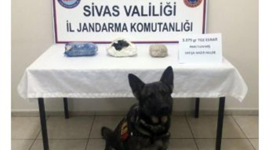 Yolcu Otobüsünde 3 Kilo Esrar Ele Geçirildi