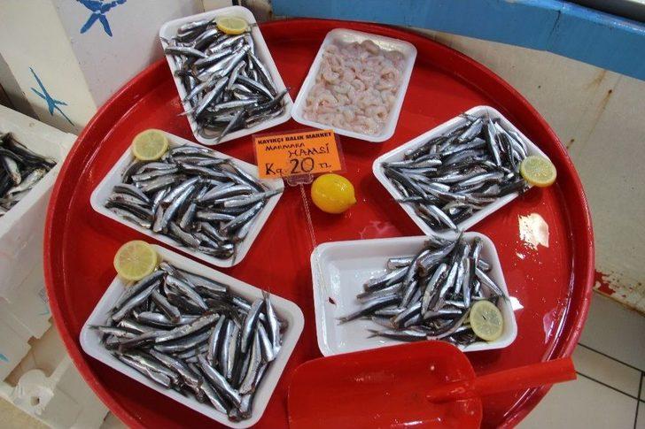 Soğuk Hava Balık Tezgahlarını Vurdu G1