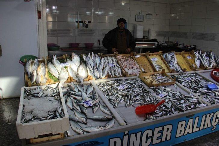 Soğuk Hava Balık Tezgahlarını Vurdu G5