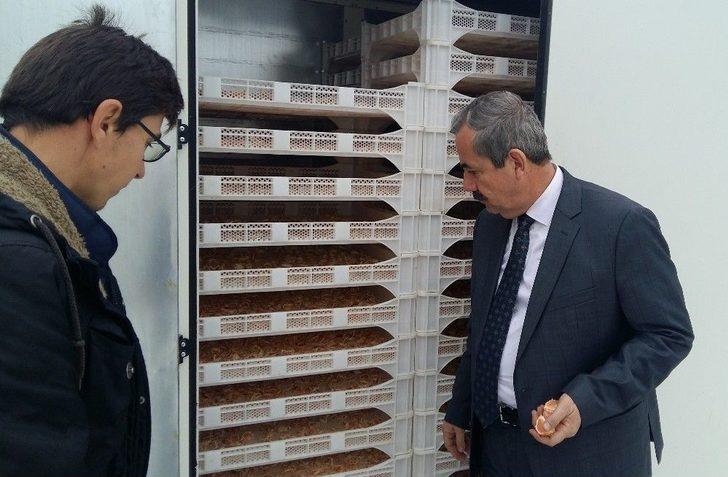 Adilcevaz, ‘sakin Şehir’ İçin Atakta G1