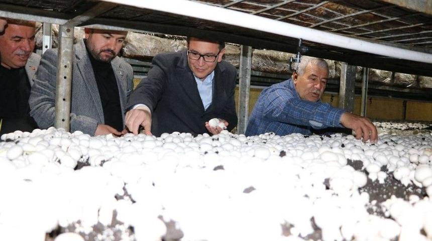 Milletvekili Uslu: “korkuteli Mantarı Türkiye Markası”