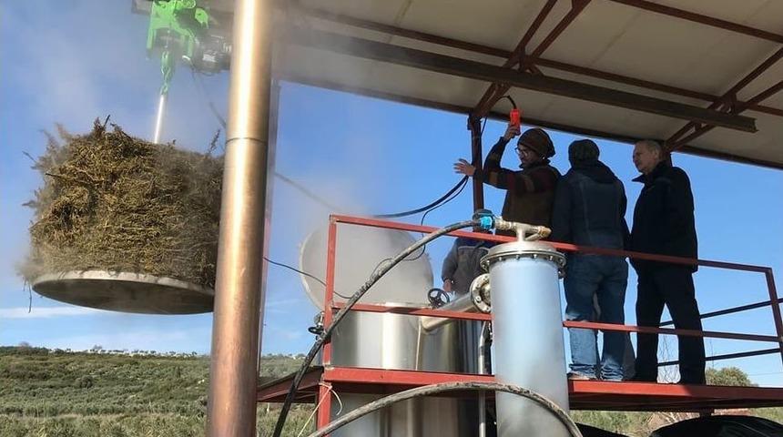 Aromatik Bitkilerden U&ccedil;ucu Yağ Edilmeye Başlandı