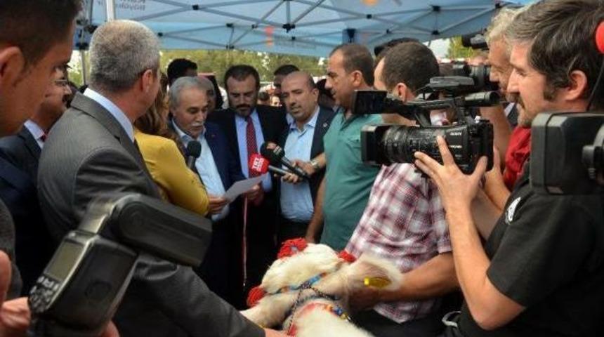 Fakıbaba: 80 Milyonun Protein Oranını Artırmamız Lazım (4)