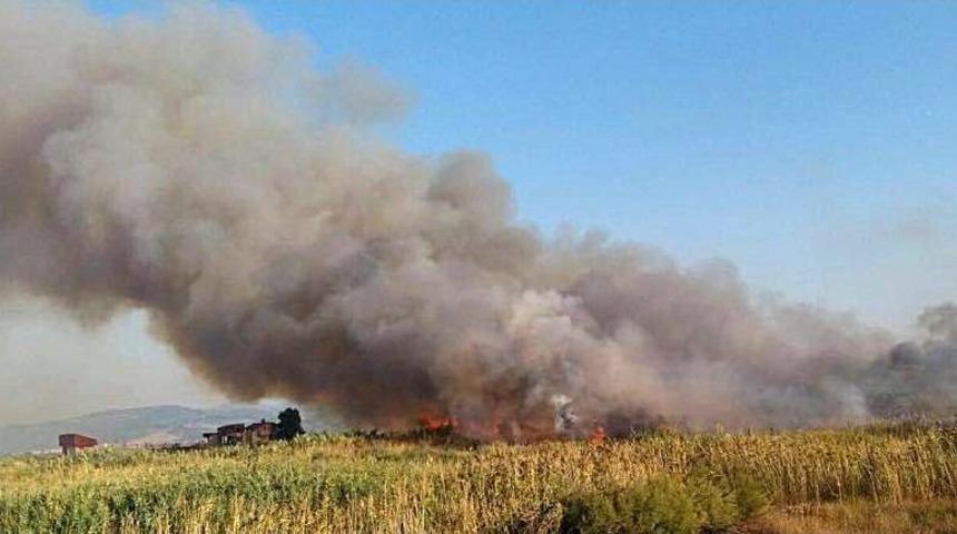 Sazlıkta &Ccedil;ıkan Yangın Korkuya Neden Oldu