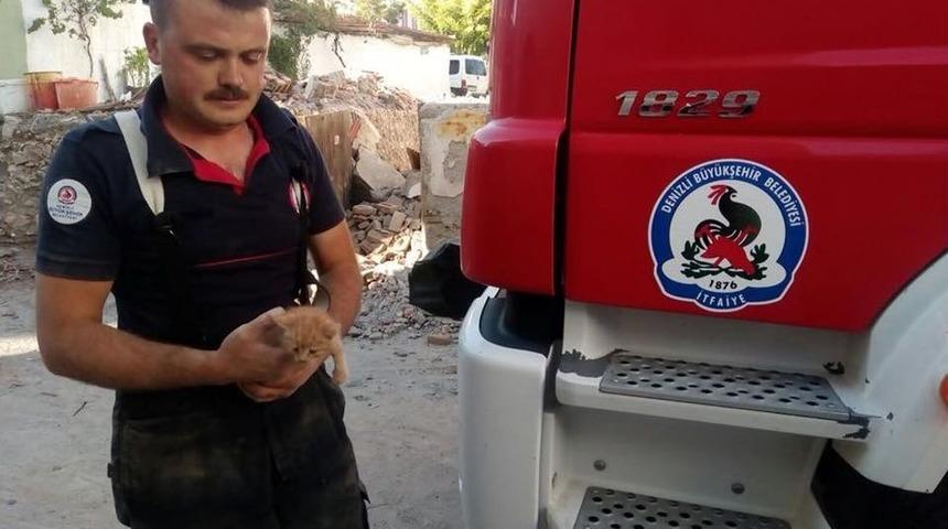 Hafriyat Altında Kalan Yavru Kedi Kurtarıldı