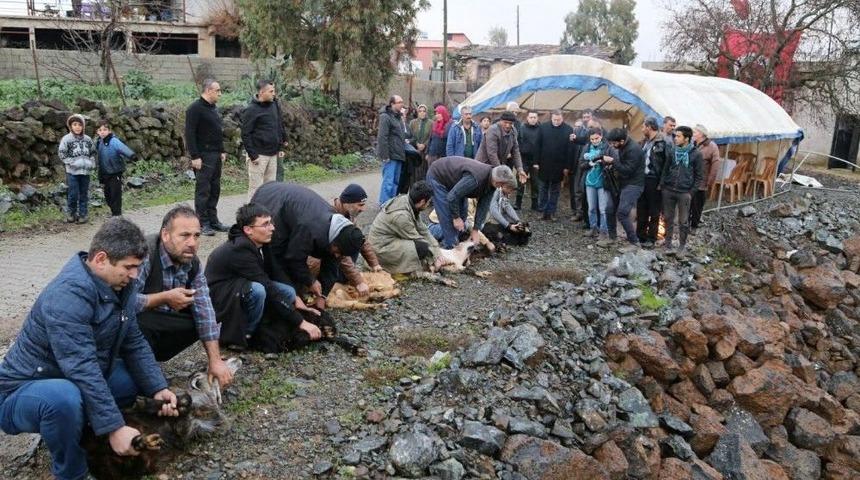 Hassalı Köylülerden Mehmetçiğe 6 Kurban
