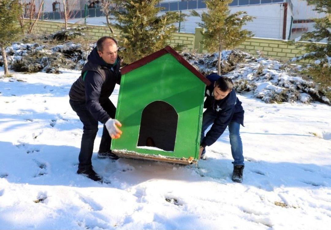 Yozgat&rsquo;ta A&ccedil; Kalan Sokak Hayvanlarına Belediyeden Şefkat Eli