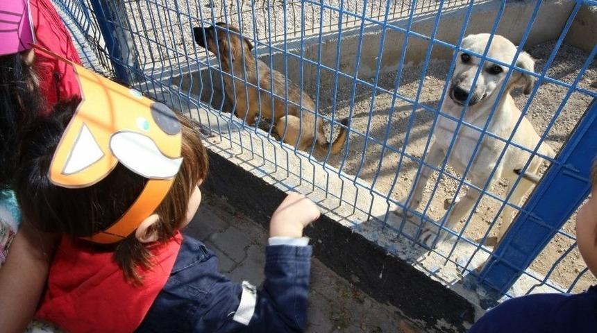 Kendileri K&uuml;&ccedil;&uuml;k Sevgileri B&uuml;y&uuml;k