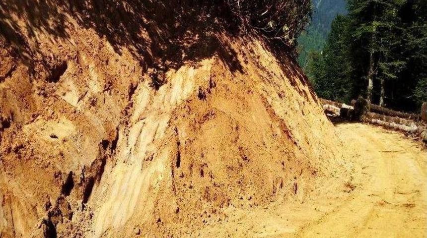 Doğu Karadeniz&rsquo;de Orman İ&ccedil;i Yollarda Yaban Hayvanları Unutulmuyor