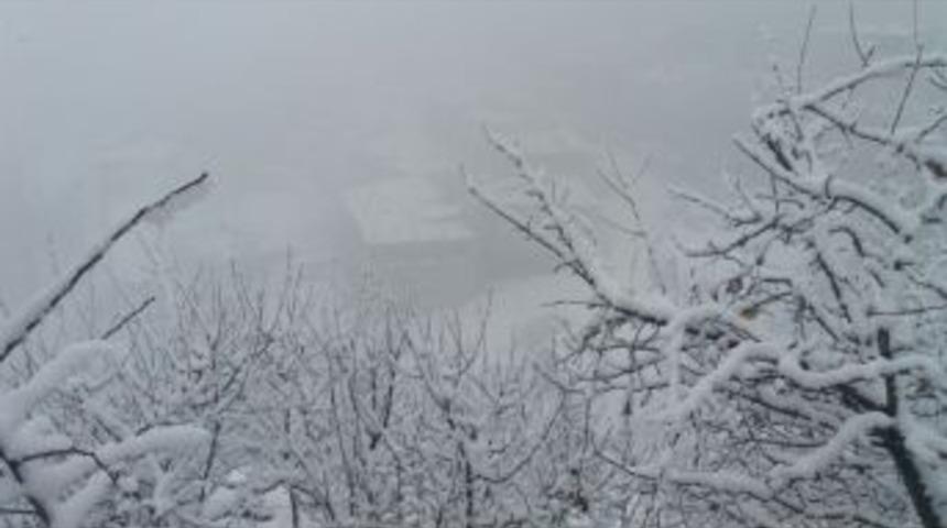 Hakkari&rsquo;de Kar Yağışı Ve Sis