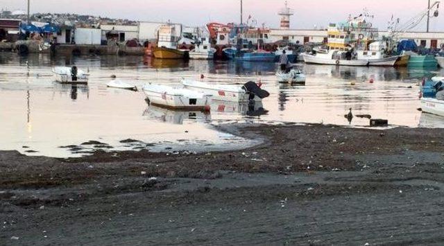 Tekirdağ'da Deniz 10 Metre Çekildi