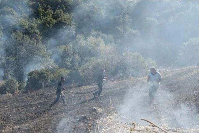 Anız Yangını Ormanlık Alana Sıçramadan Söndürüldü