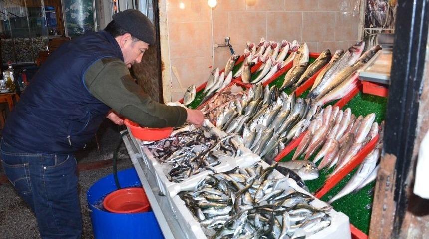 Balık Fiyatları El Yakıyor
