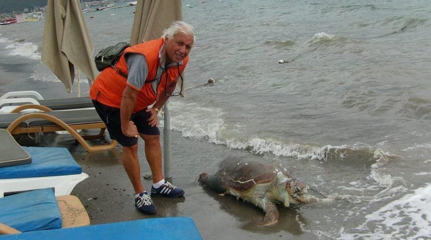 Teknenin Pervanesinden Yara Alan Caretta Caretta &Ouml;l&uuml;s&uuml; Sahile Vurdu