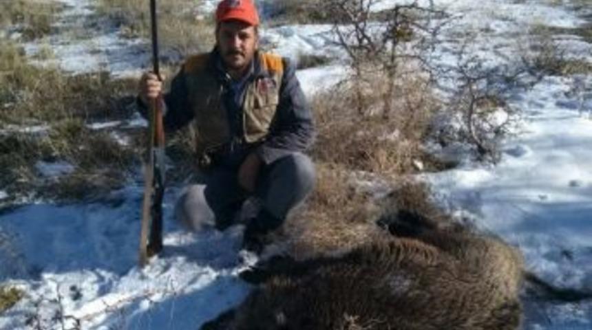 Karaman&rsquo;da Yaban Domuzlarına S&uuml;rek Avı