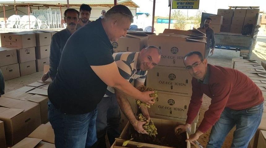 T&uuml;t&uuml;n Mahsul&uuml;nde İlk Alımlar Başladı