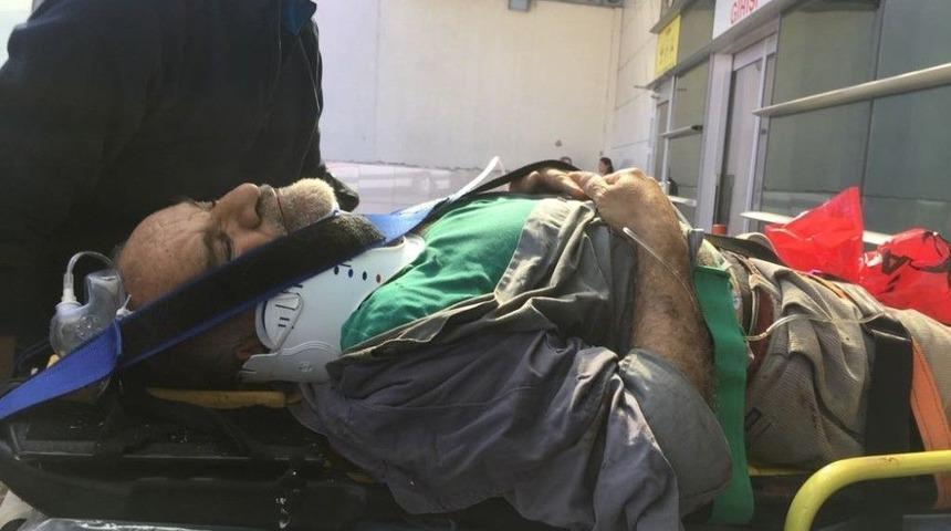 Yaşlı Adam Ceviz Toplarken D&uuml;şt&uuml;