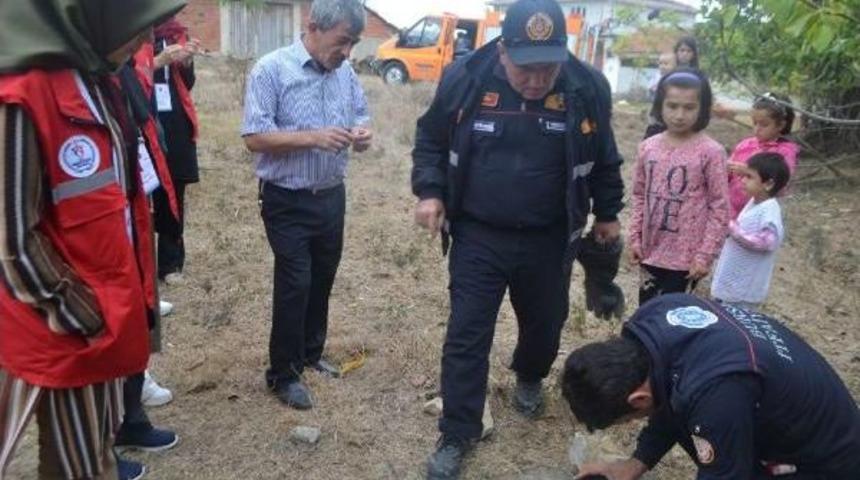 K&ouml;yde, Yavru Kedi Kurtarma Operasyonu