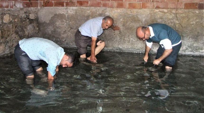 (&ouml;zel Haber) Bu &Ccedil;amur Ve Suya Girenler G&uuml;zelleşiyor