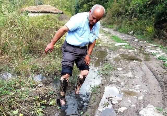 (özel Haber) Bu Çamur Ve Suya Girenler Güzelleşiyor