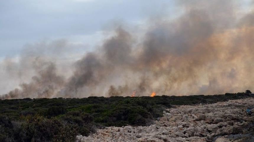 Didim&rsquo;de 80 Dekar Makilik Alan K&uuml;l Oldu
