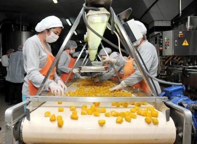 Turşu Ve Re&ccedil;elde &Uuml;r&uuml;n Krizi 1