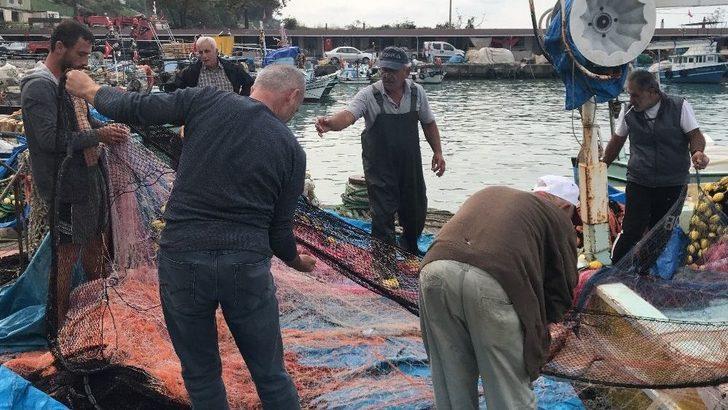 Fırtına Ve Yağmur Sonrası Palamut Çoğaldı G2