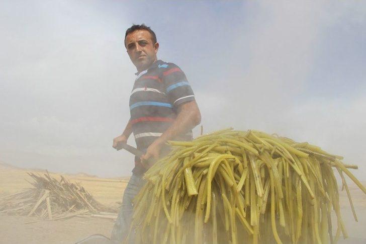 Birkaç Bidonla Başlayıp Fabrika Kurdular G1