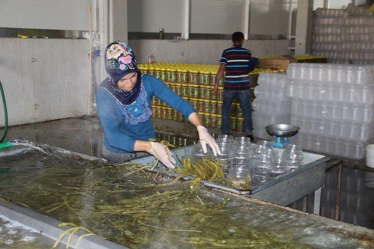 Birkaç Bidonla Başlayıp Fabrika Kurdular G3