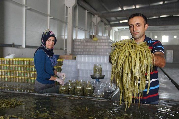 Birkaç Bidonla Başlayıp Fabrika Kurdular G4