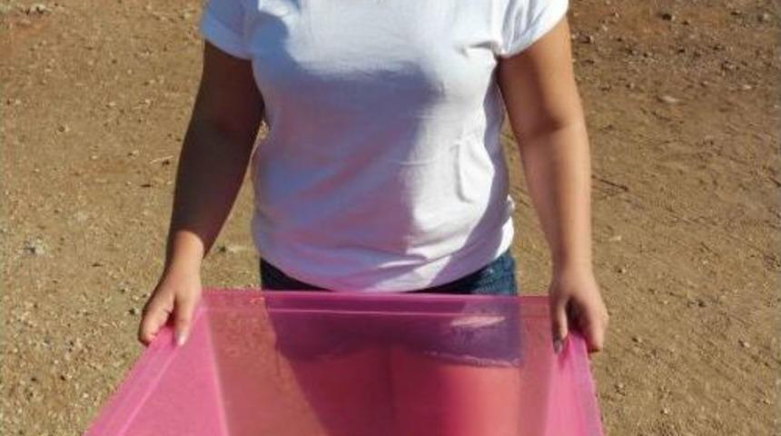 İki Caretta Ve Sezonun Son Yavruları Deniz Ile Buluşturuldu