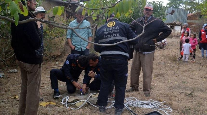&Ccedil;ukura D&uuml;şen Kedi &Ouml;ğrenciler Sayesinde Kurtarıldı