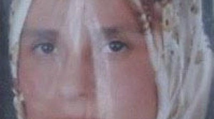 Hafriyat Kamyonunun &Ccedil;arptığı Kadın, Yaralandı