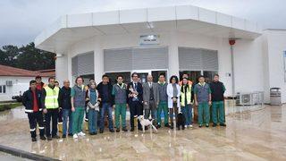 Bakıma Muhtaç Hayvanlar Güvenli Ellerde