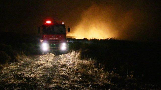 Bodrum’daki Yangın Evlere Sıçramadan Söndürüldü